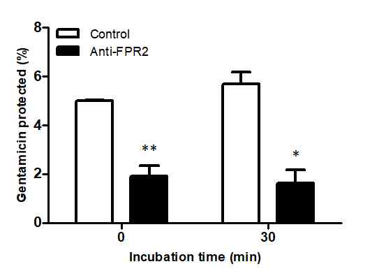 Effect of formyl peptide receptor 2 (FPR2) neutralization in the uptake Brucella into bone marrow-derived macrophages