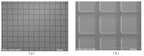 메쉬 구조의 Ag 나노박막이 임베디드된 ITO/mess-Ag/ITO 투명전극 형성결과에 대한 SEM 사진 (a) 배율 : ×250, (b) 배율 : ×1000