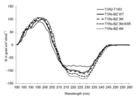 막관통부위가 제거된 T1R2-T1R3 이종이합체와 브라제인 변이체 간의 상호작용에 의한 평균 잔기 타원율
