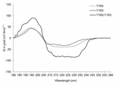 막관통부위가 제거된 T1R2 소단위체, T1R3 소단위체, T1R2-T1R3 이종이합체의 평균 잔기 타원율