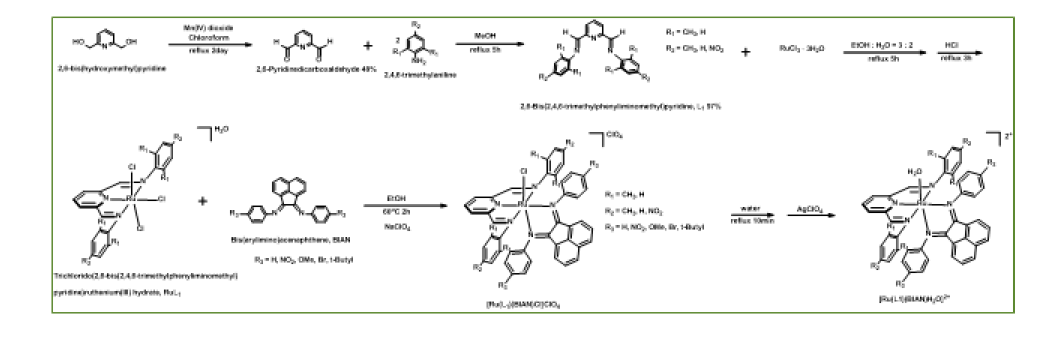 Synthesis of [Ru(DAMP)(R-BIAN)(H2O)]2+ complexes