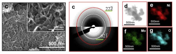 Ni-Mn 옥사이드 nanosheet 박막 SEM 이미지, Selective area electron diffraction (SAED) 패턴 및 HAADF STEM 이미지