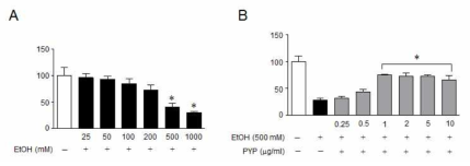 알코올에 의한 해마 일차배양세포의 활성. 알코올 농도(25~1000 mM)에 따른 세포활성을 확인하였으며, 500mM에서 EC50값과 유사한 세포활성을 확인하였음(A). 방사무늬김 펩타이드를 선처리하였을 경우, 알코올(500mM)에 의한 세포활성 감소가 유의적으로 저해되었음(B)
