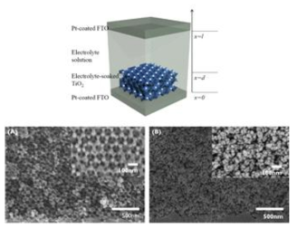광전극을 포함하고 있는 셀 제작 모식도와 규칙적인 혹은 불규칙적인 기공을 포함하고 있는 광전극의 전자현미경 이미지