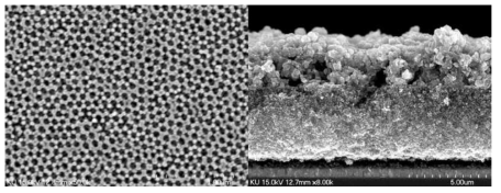 3차원 연속된 기공을 갖는 광전극 표면의 전자현미경 이미지와 상기 광전극에 나노 입자층을 추가 증착한 광전극 단면의 전자현미경 이미지