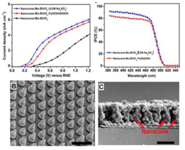 BiVO4/SnO2 나노 원뿔 구조의 광전기화학 평가 결과 및 전자현미경 사진