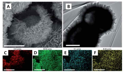 WO3/BiVO4 이종접합 계층구조 광전극의 (A) SEM 이미지 (B) TEM 이미지 (C-F) EDS 이미지