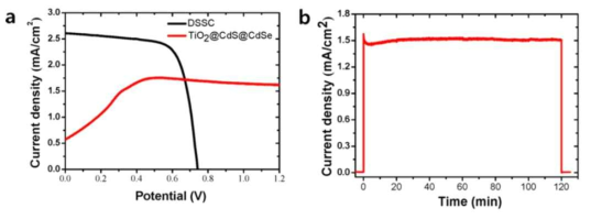(a) TiO2나노튜브어레이@CdS@CdSe와 염료감응태양전지 각각을 2전극 하에서 측정한 I-V 곡선 결과, (b)두 소자를 tandem화하여 0 V vs RHE에서 I-T 측정 결과