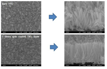 기판 표면의 차이에 따른 TiO2 나노 막대 구조의 차이를 관찰한 SEM 사진