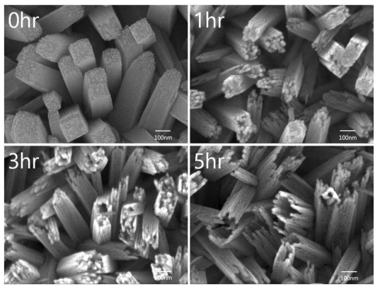 수열합성 된 TiO2 나노 막대를 화학적으로 식각하여 얻은 나노 구조체의 SEM 사진
