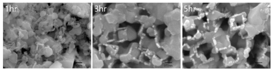 1시간(좌), 3시간(중), 5시간(우)동안의 화학적 식각 공정을 거친 TiO2 나노 구조체에 CdS 입자를 코팅하여 얻은 구조체의 SEM 사진