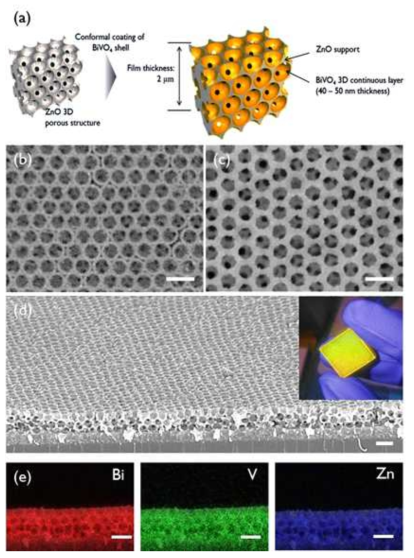 BiVO4/ZnO 3D BC 전극의 제작 방법, 구체적인 수치, 표면과 단면 SEM 사진 및 실제 이미지