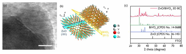 (a) BiVO4/ZnO의 고배율 TEM 사진 및 격자 거리 (b) BiVO4/ZnO 헤테로 접합 계면의 원자 모형 도식도 (c) BiVO4/ZnO의 X-선 회절 분석법