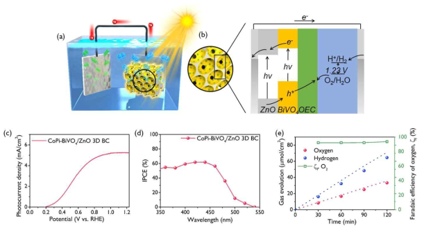 (a) BiVO4/ZnO에 CoPi 물 산화 조촉매를 코팅한 전극의 물분해 소자에 적용한 도식도 (b) ZnO와 BiVO4의 밴드갭에 따른 전자 이동 도식도, CoPi/BiVO4/ZnO 의 (c) 광전류밀도 (d) 입사 광자의 전류 변환 효율 (e) 산소, 수소 생산량 및 페러데이 효율