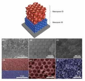 (a) - (c) 매크로/메조 수준의 이중층 폴리스타이렌 콜로이드 주형과 (d) - (f) 매크로/메조 기공의 이중층 TiO2 역전 오팔 전극의 전자현미경 사진
