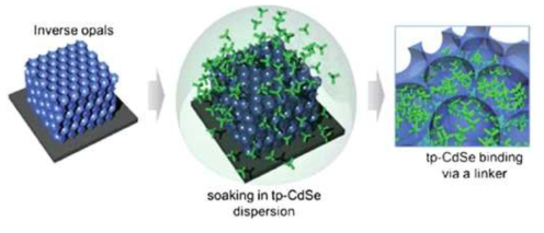 CdSe 테트라팟 양자점을 역전된 오팔 TiO2 구조 제작에 흡착시키는 과정을 나타내는 도식적인 그림