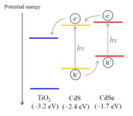 CdS/CdSE 양자점 이중층이 흡착된 TiO2 구조에서 밴드갭 배열이 전하의 이동에 미치는 영향을 관찰하기 위한 도식적인 그림