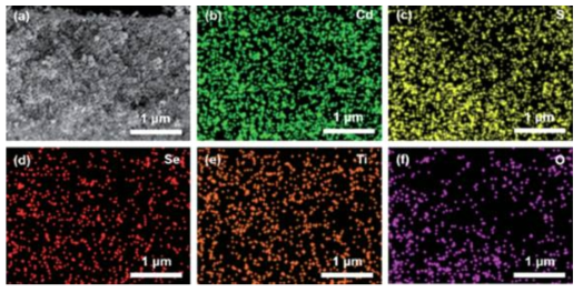 CdS/CdSe 양자점 나노 입자가 흡착된 3차원 메조 크기의 기공을 갖는 역전된 오팔 TiO2 전극의 Energy-dispesive X-ray spectroscopy (EDX) mapping 결과