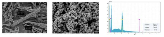 TiO2 나노라드(좌)와 TiO2 나노입자(중)의 SEM 이미지 및 EDS 원소분석(우)