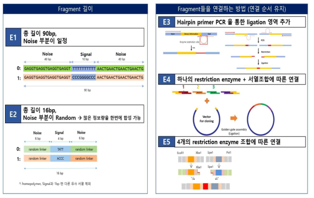 접근방법 - DNA 절편을 디자인 하고, DNA 절편을 연결하는 방법