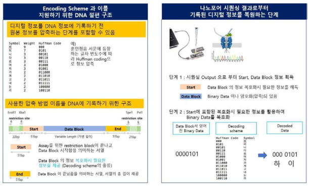 접근방법 - 디지털 정보를 압축/복원 지원하는 DNA 절편 디자인 추가