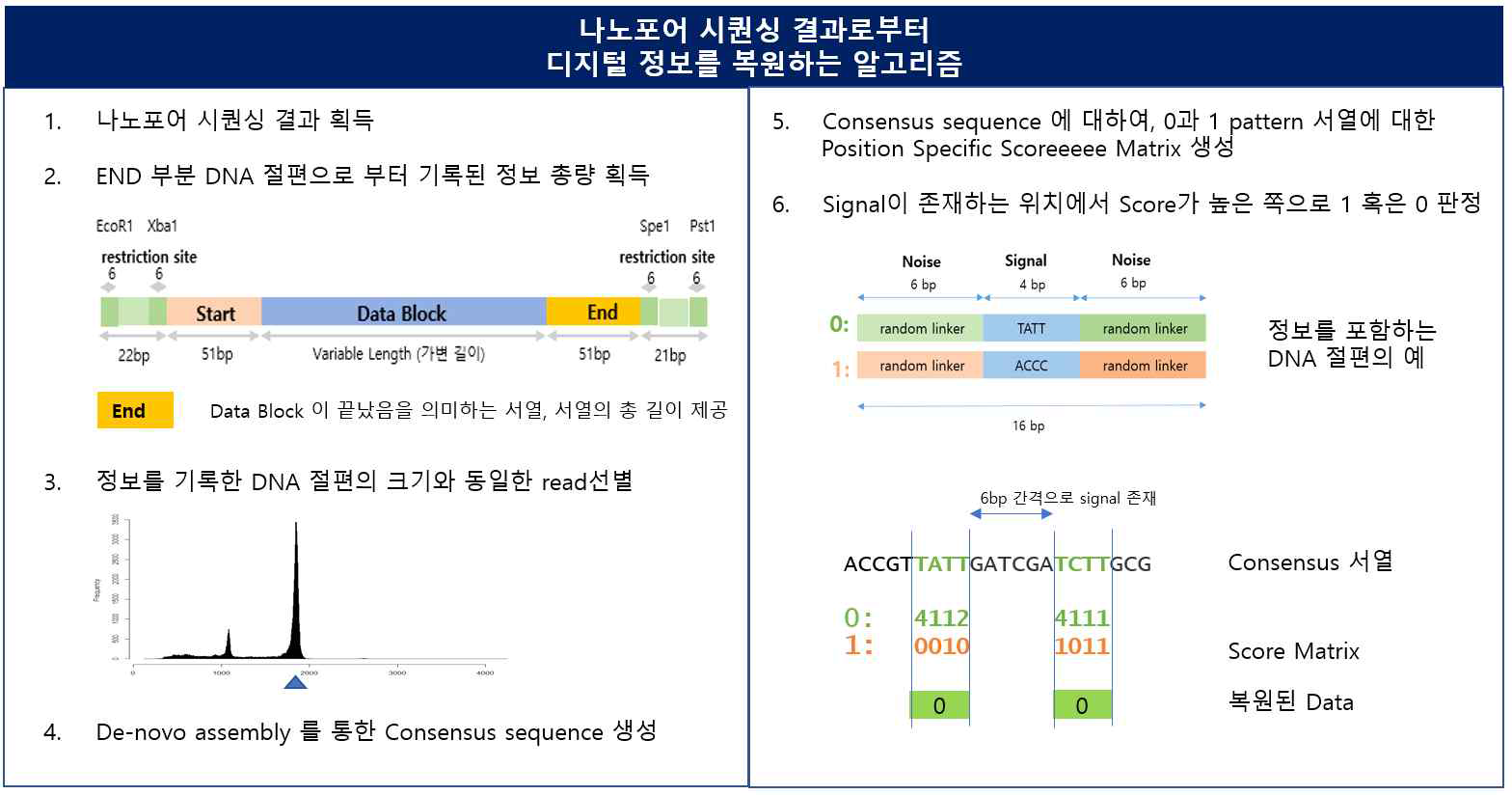 접근방법 – 나노포어 시퀀싱 결과로부터 강건하게 디지털 정보를 복원하는 방법