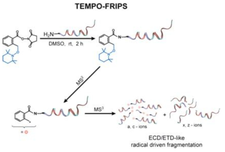 TEMPO-FRIPS의 이용기술의 대략적 설명도