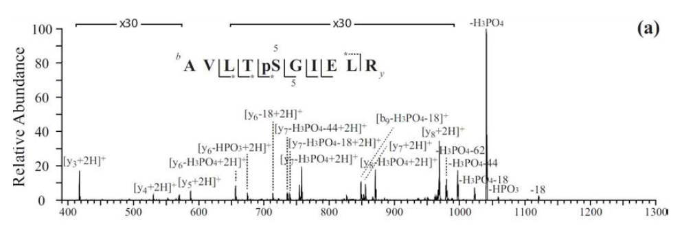 인산기가 있는 펩타이드의 템포-FRIPS를 통한 충돌활성분해 질량분석스펙트럼