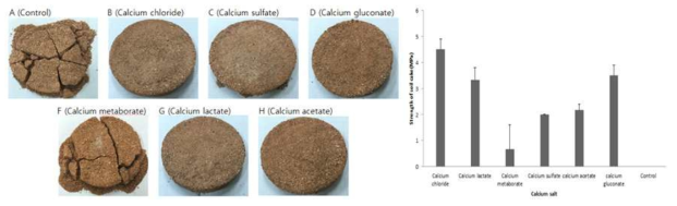6가지 칼슘원에 따른 토양 고결화 확인