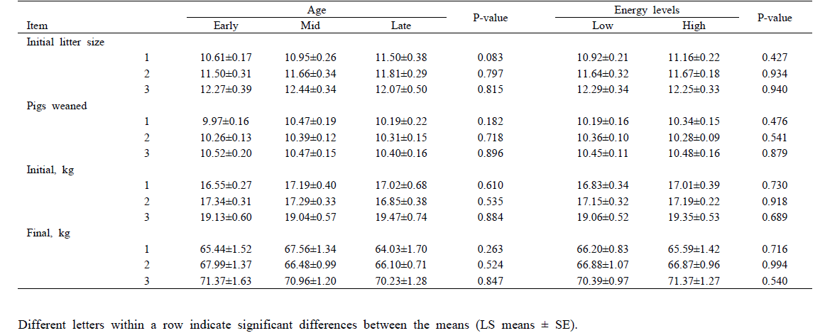 Effects of age at first breeding and dietary energy level during the rearing period of replacement gilts on litter size and litter performance during lactation