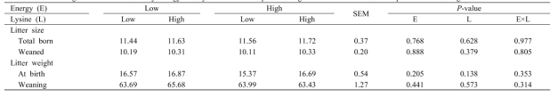 The long term effects of dietary energy and lysine levels of replacement gilts on litter size and litter performance during lactation