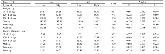 The long term effects of dietary energy and lysine levels of replacement gilts on body weight and backfat thickness changes during growing, gestation, and lactation periods