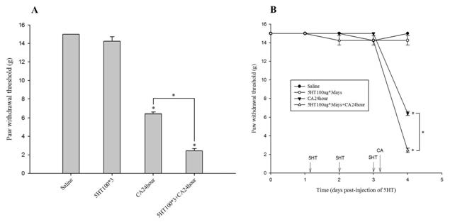 Changes in paw withdrawal threshold following 5-HT(100mcg) i.t. for 3 consecutive days before carrageenan injection