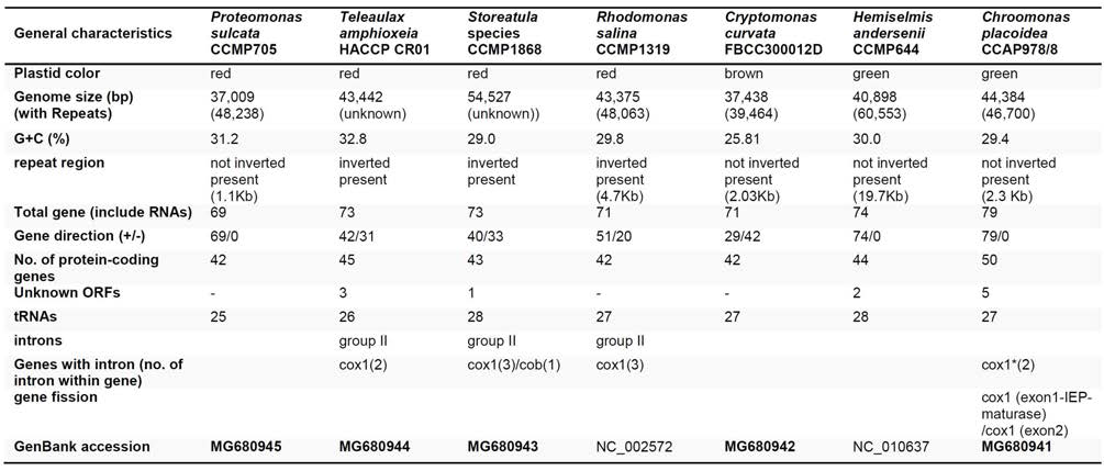 Characteristics of cryptophyte mitochondrial genomes analyzed in this study