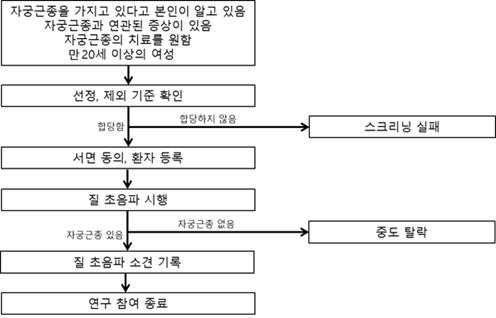 각도 제한 기존 프로브 사용 초음파 영상 평가 연구 schema