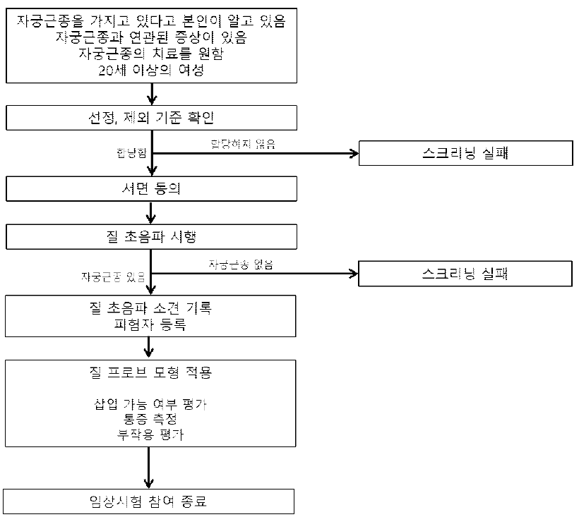 질프로브 크기와 모양 최적화 연구 schema