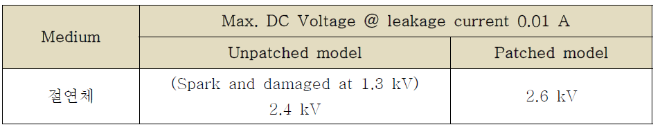 패치를 적용한 질 삽입식 HIFU 치료헤드의 내전압 시험 결과