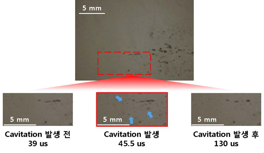 Acoustic cavitation 발생 실험 결과