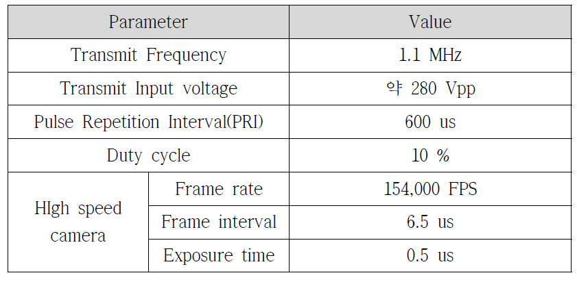 Acoustic cavitation 발생 실험 parameter