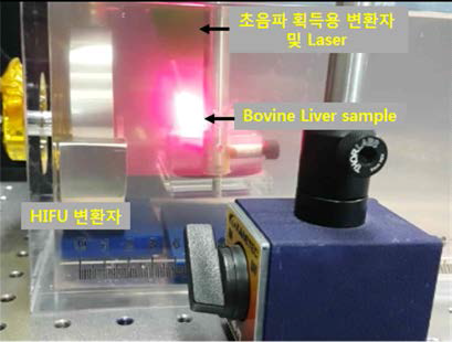 Photoacoustic 실험 환경