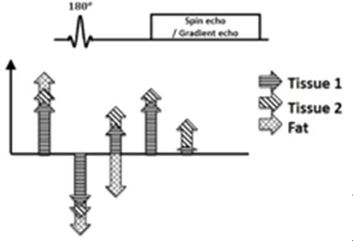 SPIR sequence diagram