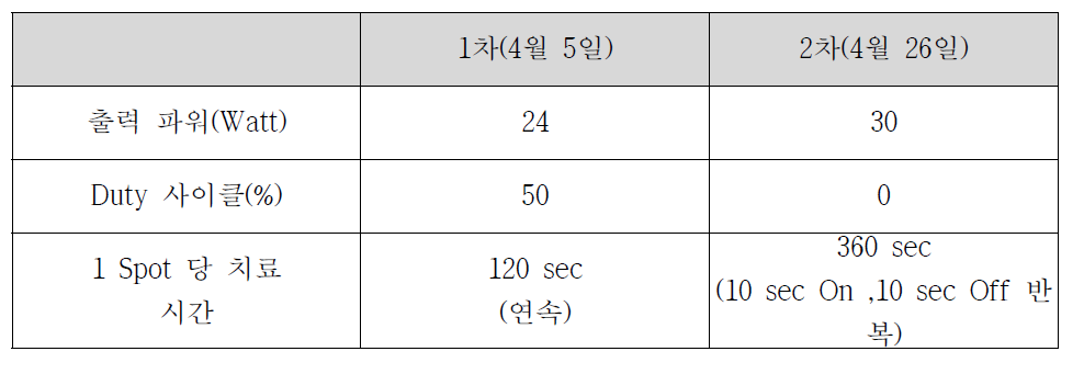 HIFU 조사 조건