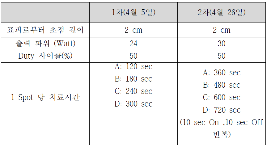 HIFU 조사 조건