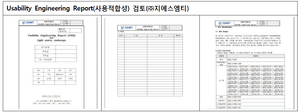 Usability Engineering Report 검토 ; ㈜지에스엠티