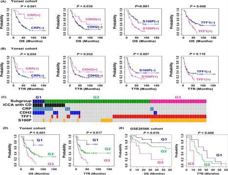 Prognostic association of the candidate marker genes for intrahepatic cholangiocarcinoma (iCCA) subtypes