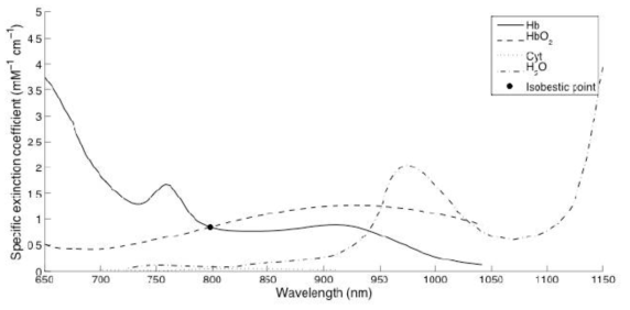 Extinction coeffecient of chromophore