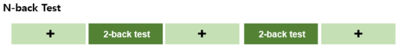 N-back task protocol