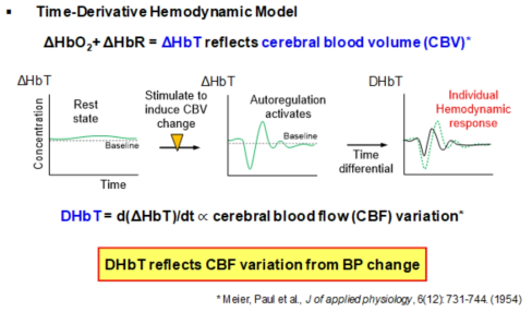 Time-derivative hemodynamics model (DHbT) 의 개념도