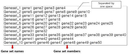 사용자 업로드 gene set 데이터 형식