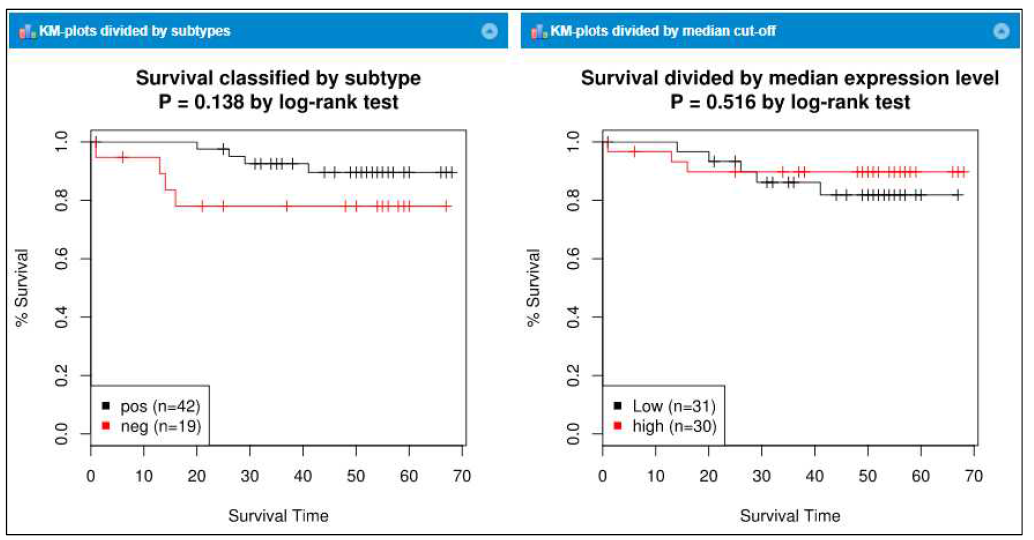 Breast cancer tissue에서의 ER positive negative에 따른 survival curve